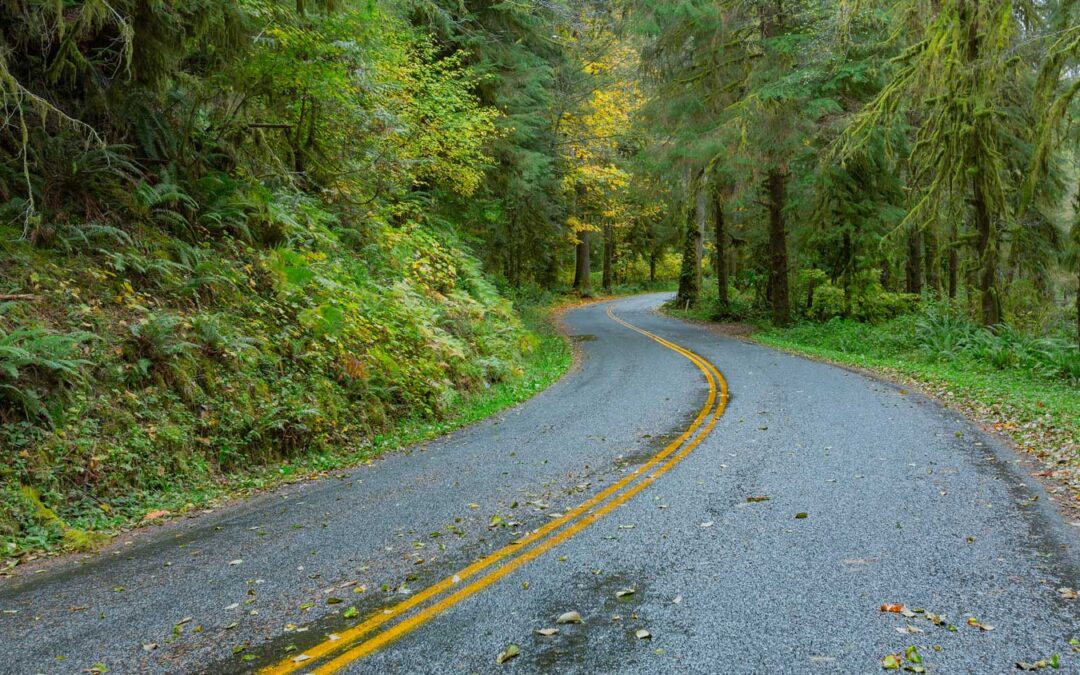 rural road in oregon