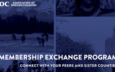 AOC Membership Exchange Program Application Opening Soon