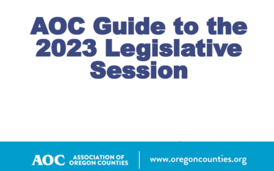 AOC Releases Guide to 2023 Legislative Session