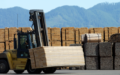 Challenges, Needs, and Opportunities in Oregon’s Forest Sector