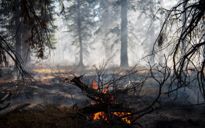 Legislature Passes Wildfire Funding Legislation for Outstanding 2024 Wildfire Costs