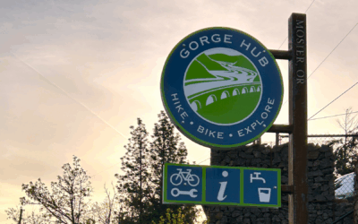 Lead the Way: Apply Now for 2025 TGM Planning Grants and Shape the Future of Your Community