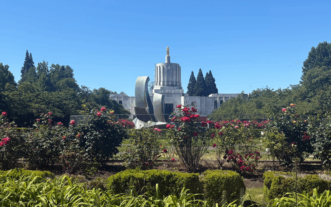 AOC Advocacy Update – Second Chamber Deadline