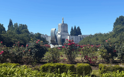 AOC Advocacy Update – Second Chamber Deadline